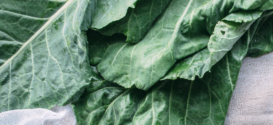 guide-good-greens-collard