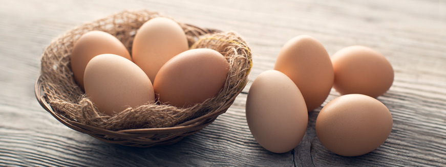 National-Egg-Day-Luvo-Foods