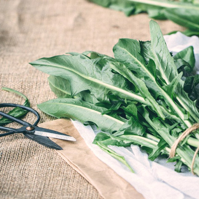 Eat-Leafy-Greens-Luvo-arugula