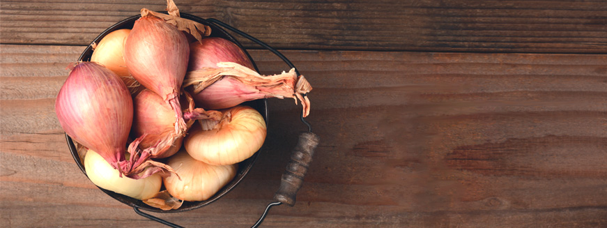 Learn-About-Shallots-Luvo