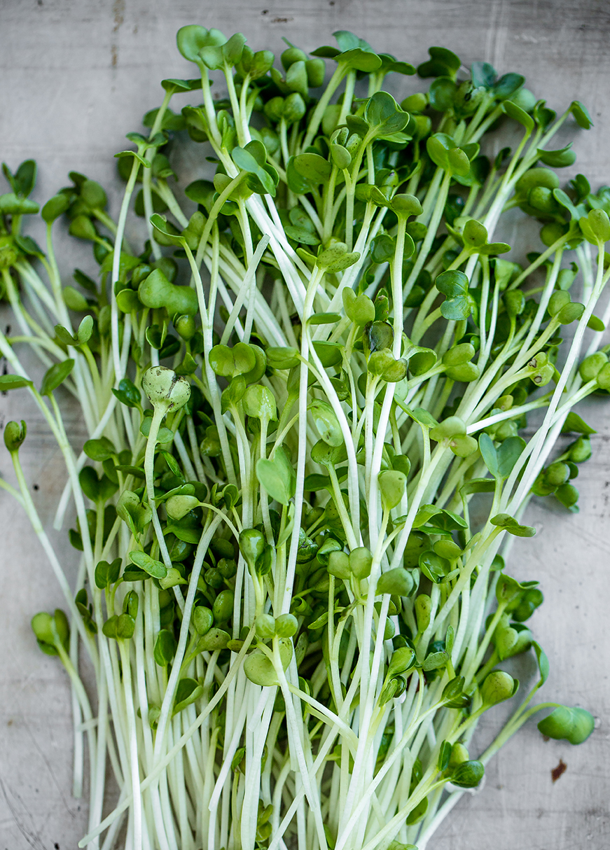 Everything you need to know about Asian greens from @Luvoinc; Snow Pea Shoots