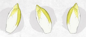 nutritious-endive-recipes-luvo-mast