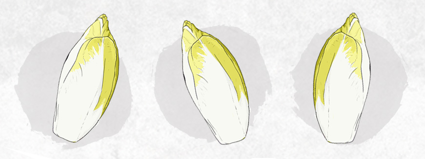 nutritious-endive-recipes-luvo-mast